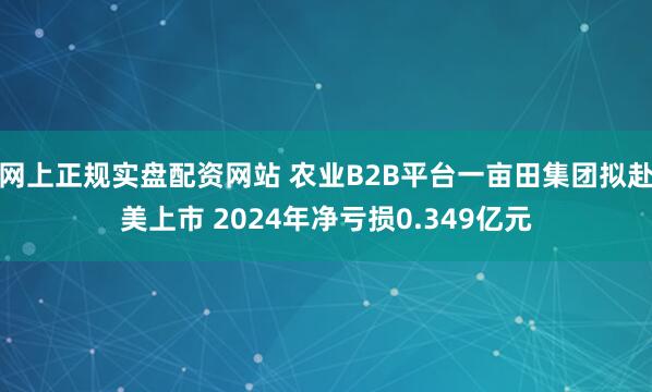 网上正规实盘配资网站 农业B2B平台一亩田集团拟赴美上市 2024年净亏损0.349亿元