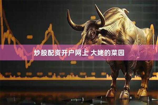 炒股配资开户网上 大姥的菜园